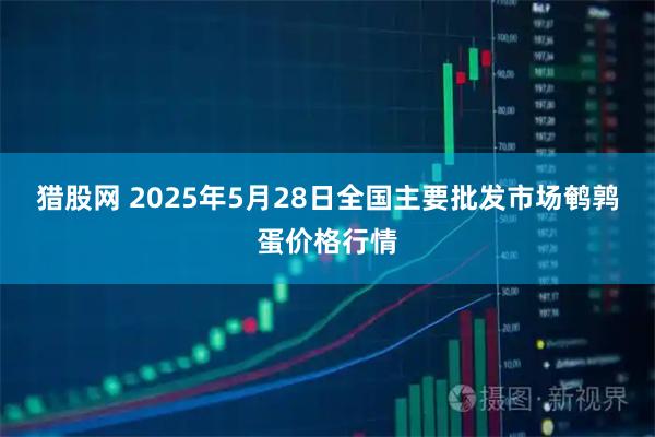 猎股网 2025年5月28日全国主要批发市场鹌鹑蛋价格行情