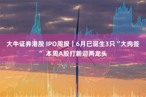 大牛证券港股 IPO周报|6月已诞生3只“大肉签” 本周A股打新迎两龙头