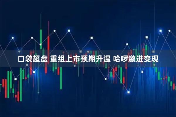 口袋超盘 重组上市预期升温 哈啰激进变现