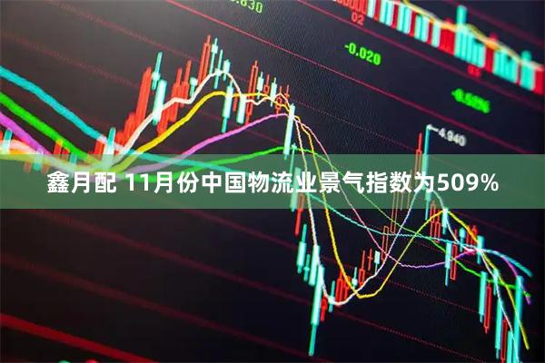 鑫月配 11月份中国物流业景气指数为509%