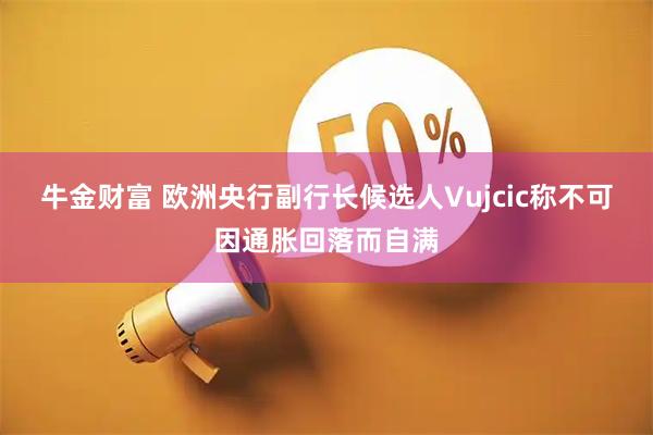 牛金财富 欧洲央行副行长候选人Vujcic称不可因通胀回落而自满